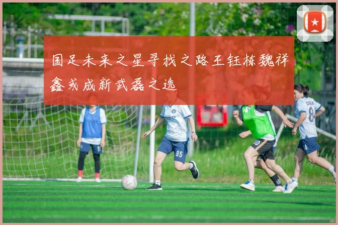 国足未来之星寻找之路王钰栋魏祥鑫或成新武磊之选