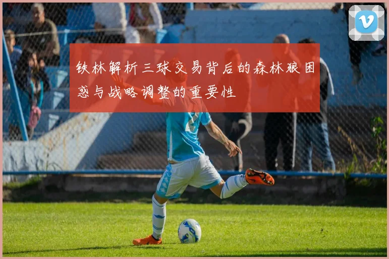 铁林解析三球交易背后的森林狼困惑与战略调整的重要性